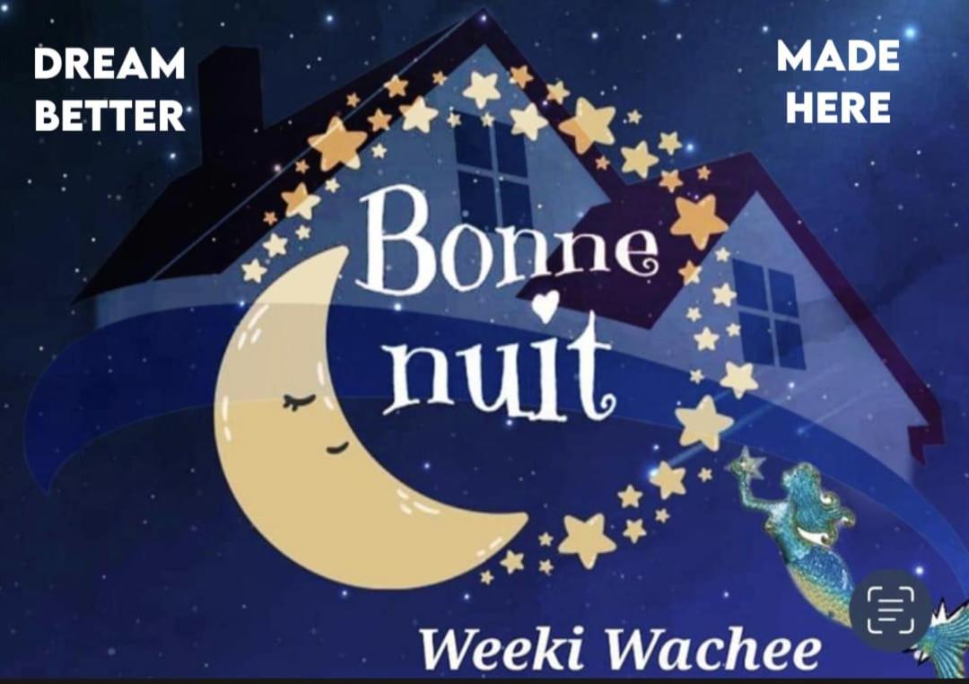 Villa Bonne Nuit Weeki Wachee Extérieur photo