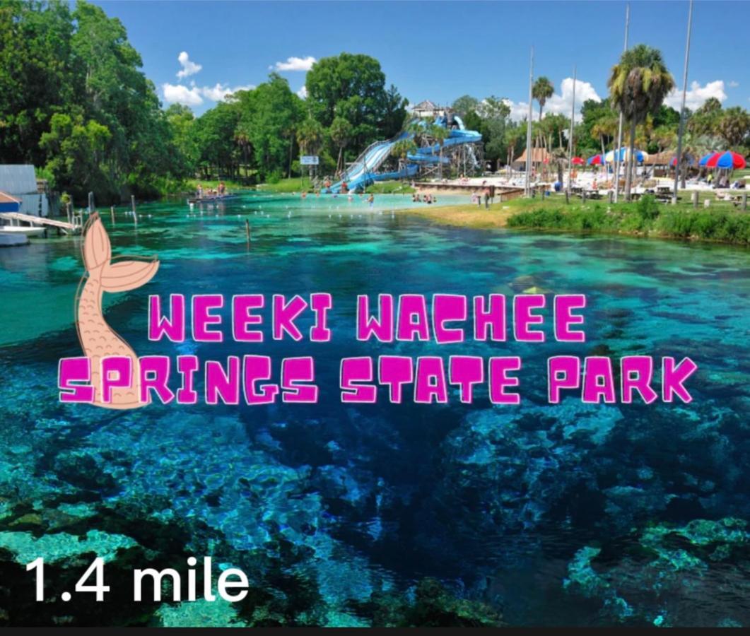 Villa Bonne Nuit Weeki Wachee Extérieur photo